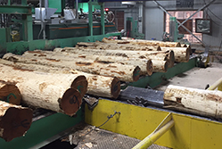 Image for Timber Products