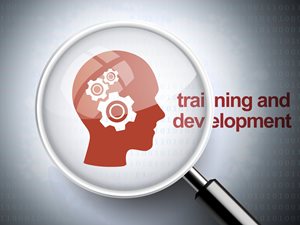 training-and-development.jpg