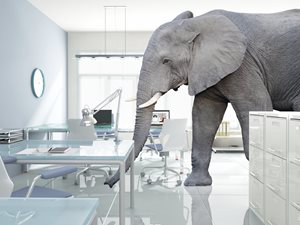ELEPHANT-IN-ROOM-BLOG.jpg