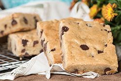 Image for Ethel's Baking Company
