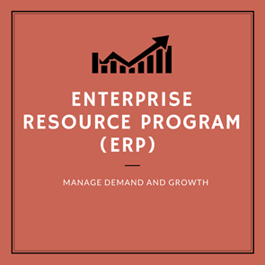 enterprise resource program manage demand and growth